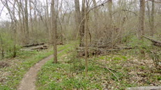 4 path