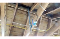 &nbsp;&nbsp;DSCN6563&nbsp;&nbsp;