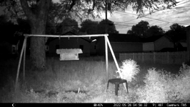 2022.05.28 04.58.22 morning possum.MOV (215 MB)