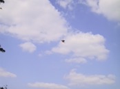 2000.05.20 16.23.58