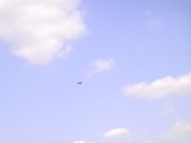 2000.05.20 16.24.28