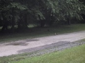   2006-06-24 at 13-15-08  