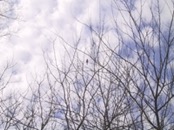   2001.04.02 11.53.32  