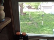   2017.05.14 17.13.56  