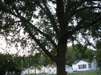 2009.09.14 20.22.02.mp4 (15 MB)
