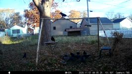2020.11.07 08.07.16.MP4 (143 MB)