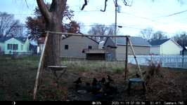 2020.11.19 07.02.46 multicrows.MP4 (143 MB)
