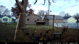 2020.11.19 08.35.58.MP4 (143 MB)