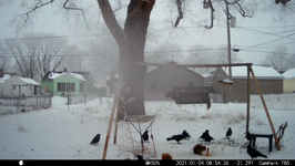 2021.01.04 08.56.16.MP4 (143 MB)