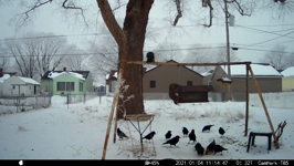 2021.01.04 11.16.36.MP4 (143 MB)