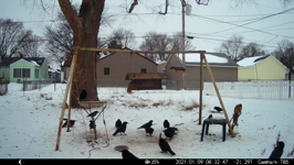2021.01.09 08.32.36.MP4 (143 MB)