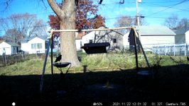 2021.11.22 12.04.22 crow dunks another donut.MP4 (214 MB)
