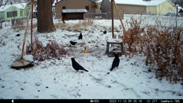 2022.11.16 09.35.08.MP4 (214 MB)