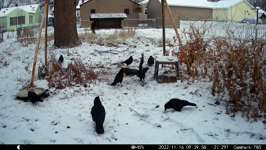 2022.11.16 09.39.48.MP4 (214 MB)