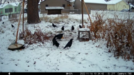 2022.11.16 10.34.32.MP4 (214 MB)
