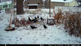 2022.11.16 10.53.16.MP4 (214 MB)