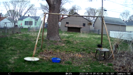 2023.04.19 09.43.44 crow working on donut.MP4 (214 MB)