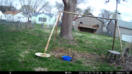 2023.04.23 10.35.26 crow morsel from the bath.MP4 (214 MB)