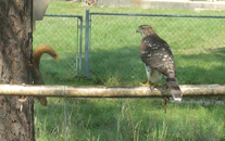   2020.09.15 14.13.21 zoomed  