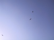 2004.04.17 16.18.45