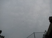 2007.06.27 18.39.47