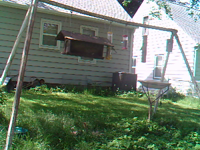   2011.06.01 10.28.48 zoom_squirrel.mp4 (15 MB)  