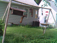   2011.06.15 19.59.35 bat_squirrel.mp4 (1115 KB)  