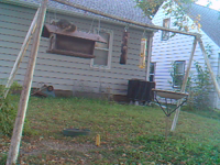   2011.10.04 18.20.58 squirrel jumps camera.mp4 (13 MB)  