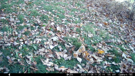   2020.11.08 11.22.04.MP4 (143 MB)  
