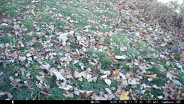   2020.11.08 11.33.20.MP4 (143 MB)  