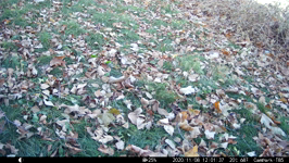  2020.11.08 12.03.26.MP4 (143 MB)  