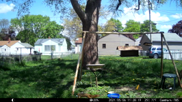   2021.05.06 11.31.08.MP4 (214 MB)  