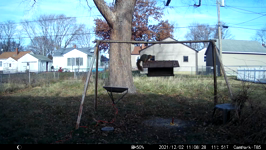  2021.12.02 11.08.18 saquirrel fights.MP4 (214 MB)  