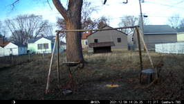   2021.12.08 14.26.26 squirrel drink.MP4 (214 MB)  