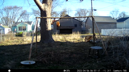   2023.04.06 06.57.08 tumbling squirrels.MP4 (214 MB)  