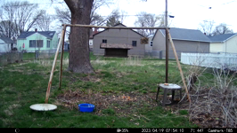   2023.04.19 07.54.00 chase.MP4 (214 MB)  