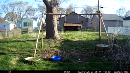   2023.04.25 07.56.40 antisocial squirrels.MP4 (214 MB)  