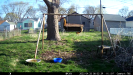   2023.04.25 08.02.20 squirrel party.MP4 (214 MB)  