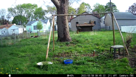   2023.05.08 08.45.24 three's a crowd.MP4 (214 MB)  