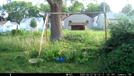   2023.06.22 06.16.04 well-endowed squirrel.MP4 (214 MB)  