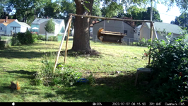   2023.07.07 08.15.40 neighbor mowed my back yard.MP4 (214 MB)  
