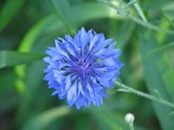 2009.07.05 18.27.51
