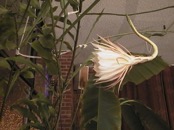 2010.08.04 19.22.06