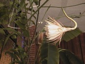 2010.08.04 19.22.07