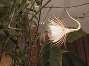 2010.08.04 19.22.09
