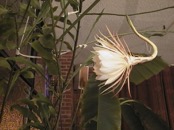 2010.08.04 19.22.10