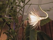 2010.08.04 19.22.11