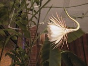 2010.08.04 19.22.12