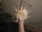 2010.08.04 19.22.15