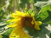   2009.07.18 18.16.17  